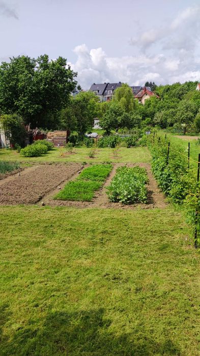 Działka ROD Słoneczne Wzgórze Lublin