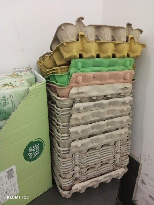 Oddam za darmo wytłaczanki do jajek