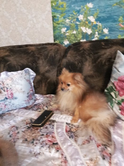 Мальчик и девочка