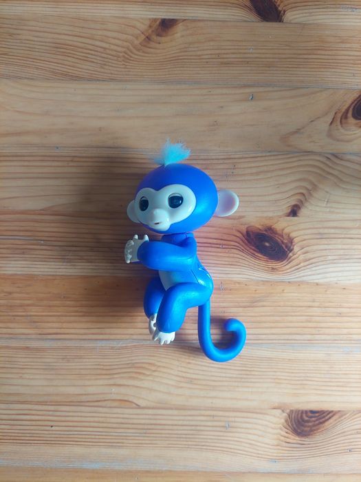 Fingerling roxo 2016