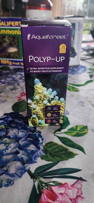 Polyp-up da Aquaforest Corais Aquário marinho
