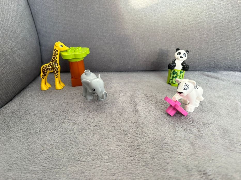 Małe zwierzęta Duplo 10904