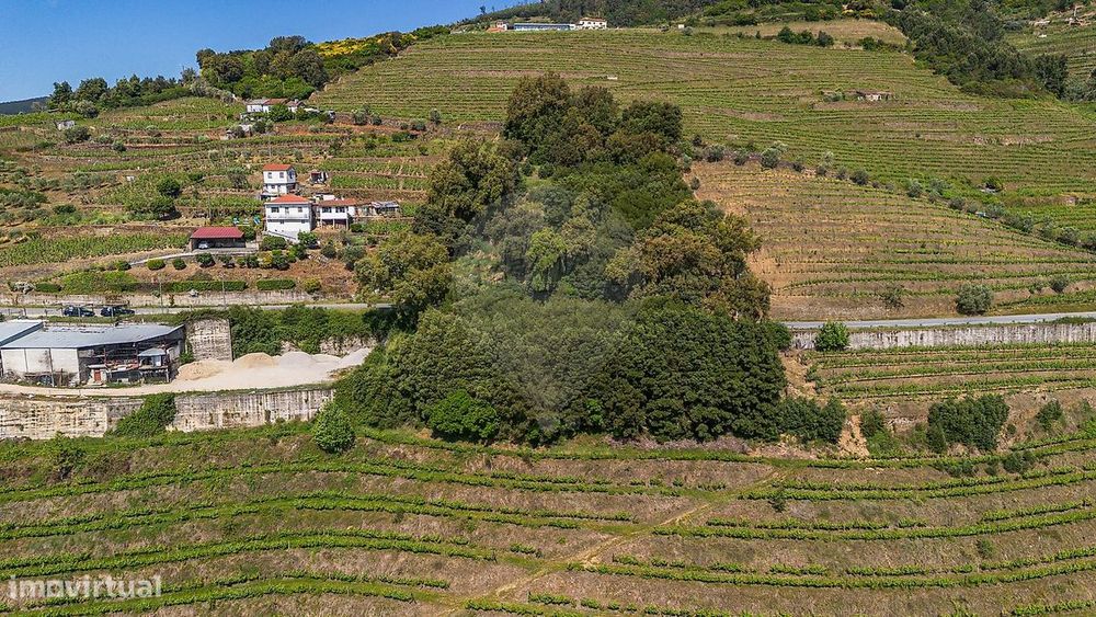 Terreno  para venda