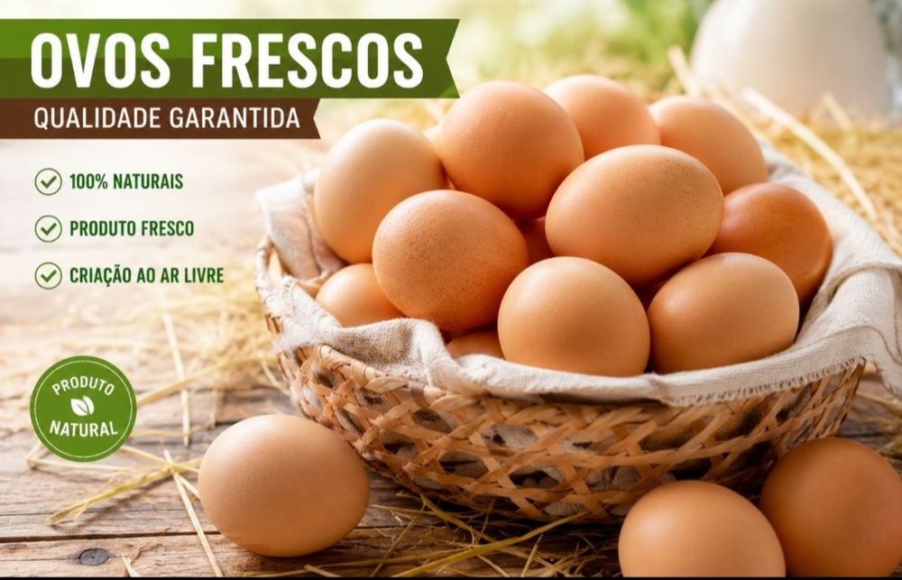 Ovos biológicos  - campo