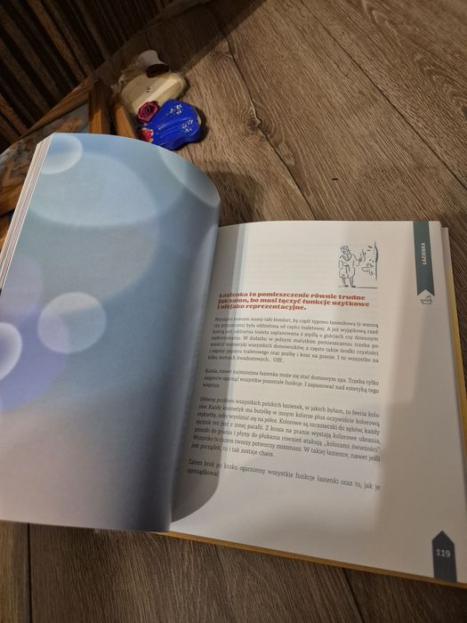 Książka Ula Pedantula pozamiatane