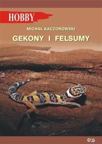 Gekony i felsumy, wydanie 3. Nowy Produkt