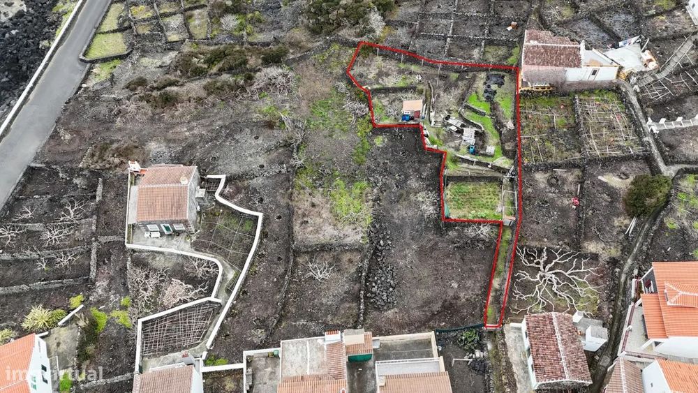 Terreno com Frutais e Horta na Ilha Terceira - 55.000€