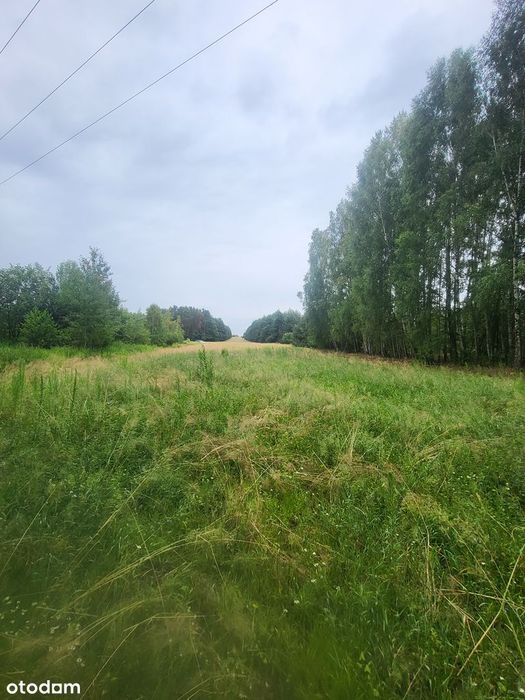 Działka budowlana 2750 m² – blisko Siedlec - Widok 3