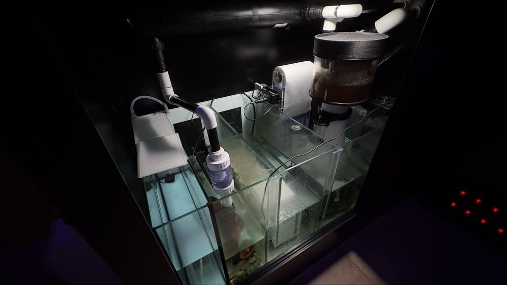 Aquário completo, com sump e material (na garantia)