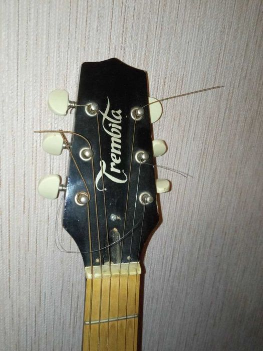 гитара акустическая trembita 2008