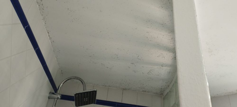 Profissional da limpeza