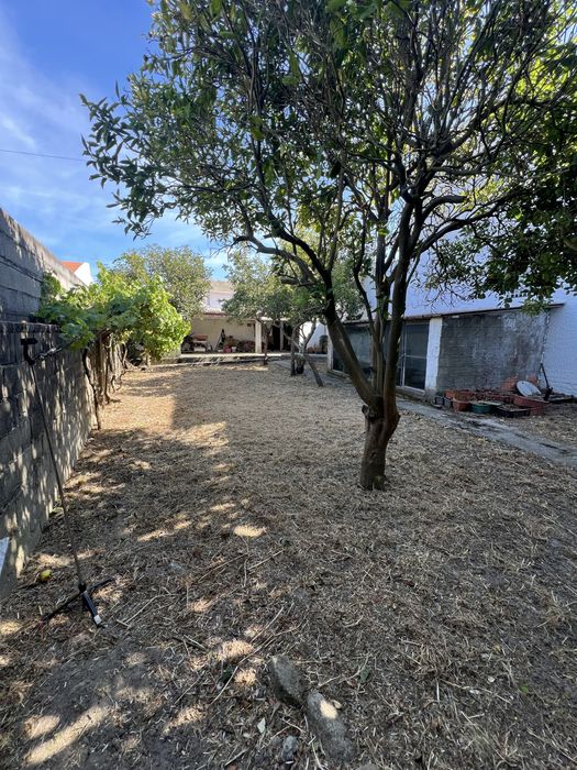 Jardinagem e Limpeza de Terrenos - Aveiro e região