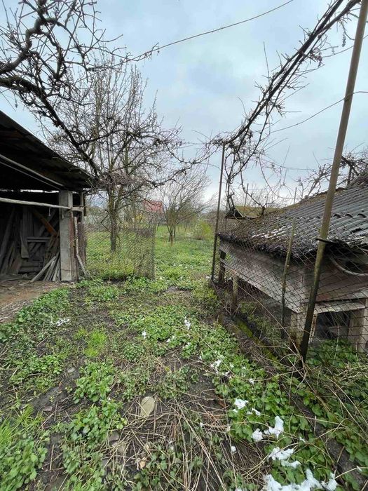 Продається будинок в м. Тячів