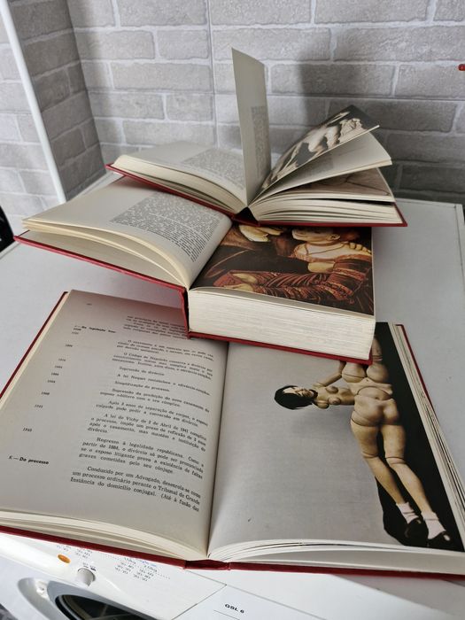 Enciclopédia da sexualidade