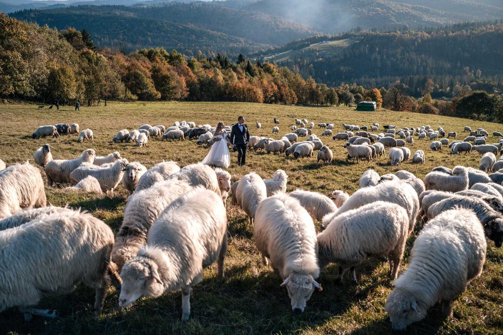 FOTOGRAF ŚLUBNY - Wesela Śluby Urodziny Wydruki