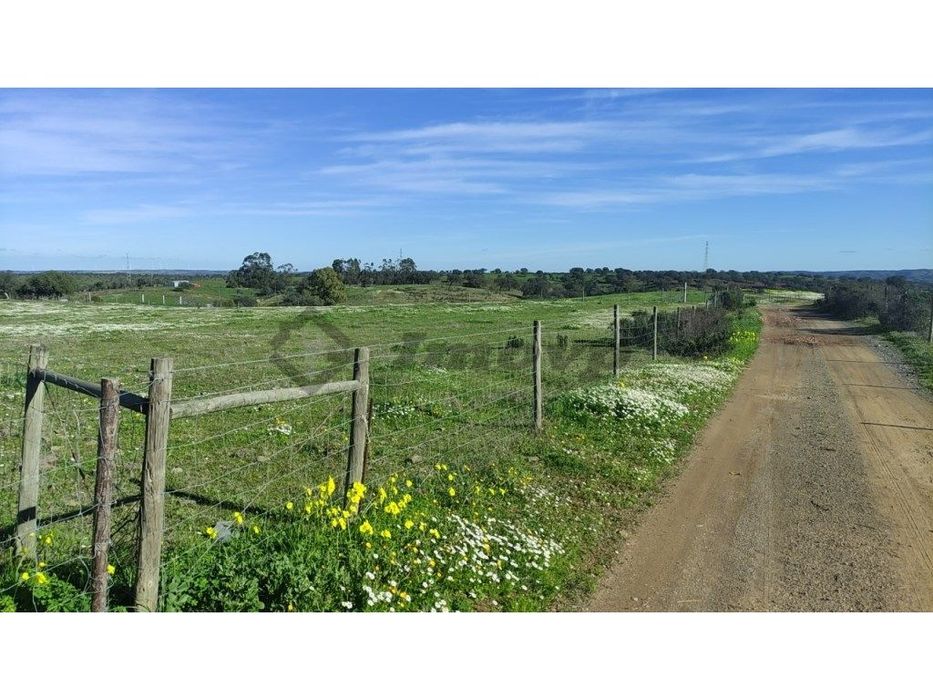 Terreno rústico de 0,775Ha localizado na Dogueno - Almodôvar