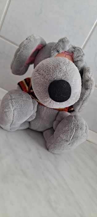 Maskotka szczur w sweterku