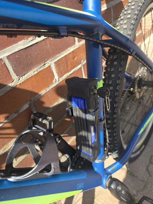 Rower Cube Acid  29"