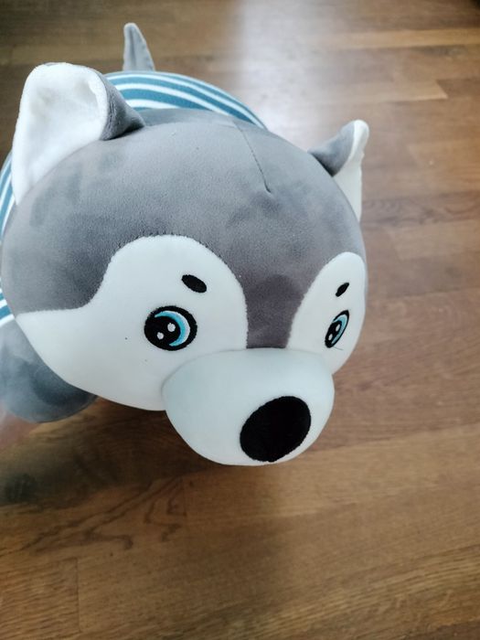 Piesek Husky maskotka + kocyk  poduszka