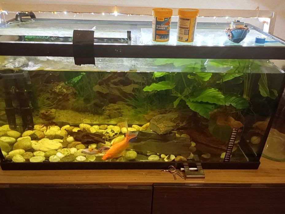 Vendo aquário com tudo incluído