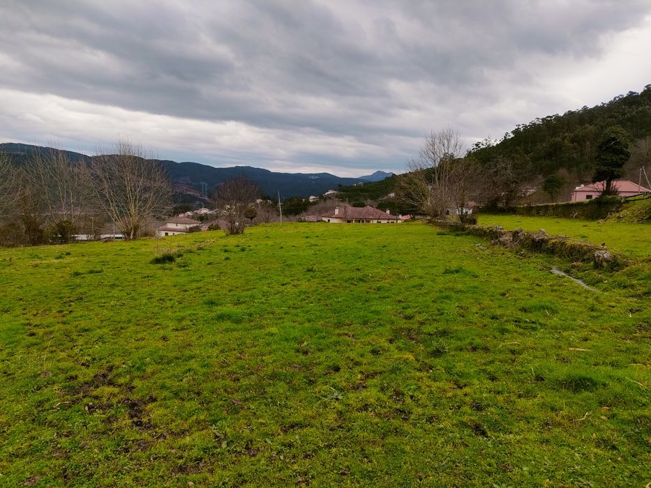 Quinta com 20 000 M2 em Santa Marinha - Ribeira Pena