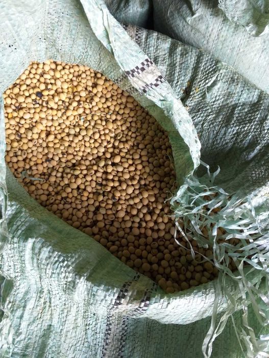 Соя посівна калібрована