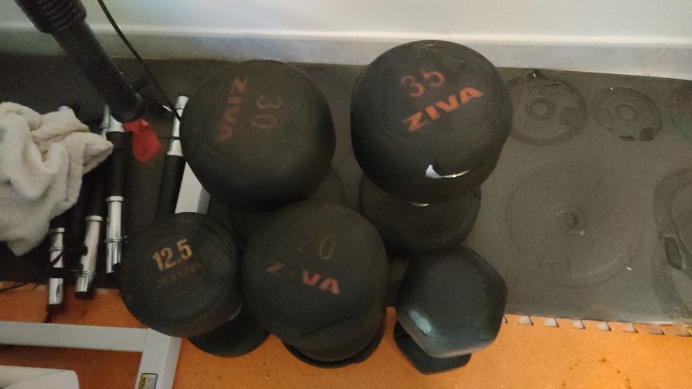 Vários halteres.