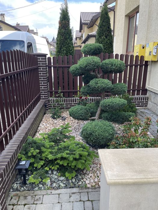 Автополив Газони Посадка рослин формування