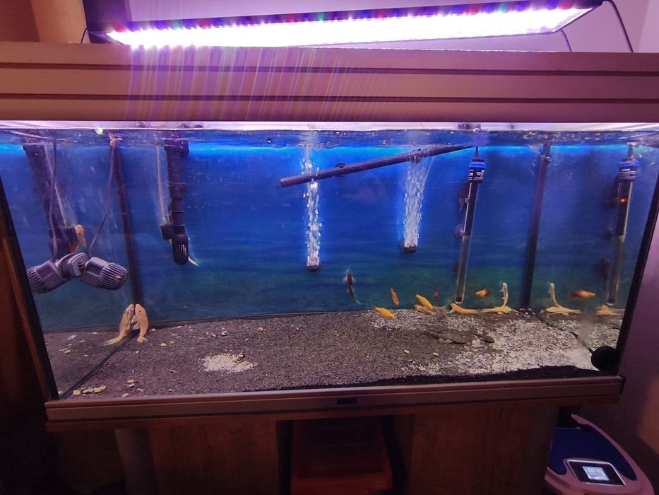 Aquário de 300 litros como novo.