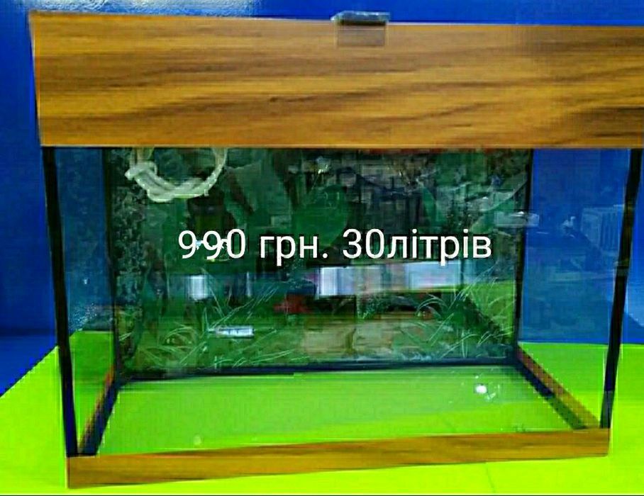 Акваріум з кришкою освітленням 35 літрів.
400*240*360
Лише самовивіз