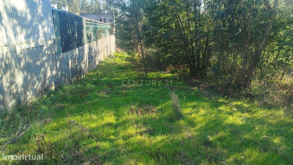 Terreno urbanizável em Requeixo, Aveiro