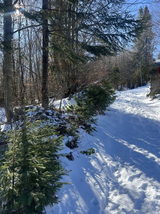 Земельна ділянка в туристичному селі Подобовець