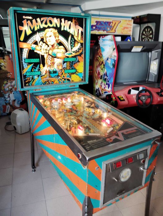Fliper Pinball - Amazon Hunt