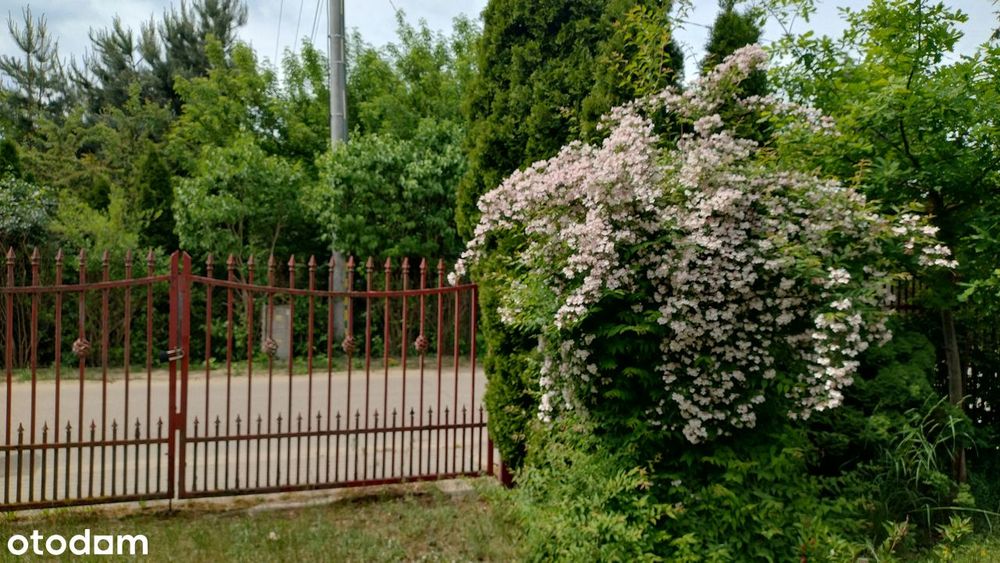 dom letniskowy 1 h od Wawy, działka 200 m2, rz. Wkra
