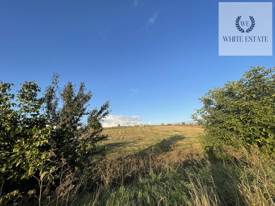 Продаж земельної ділянки Мишковичі.