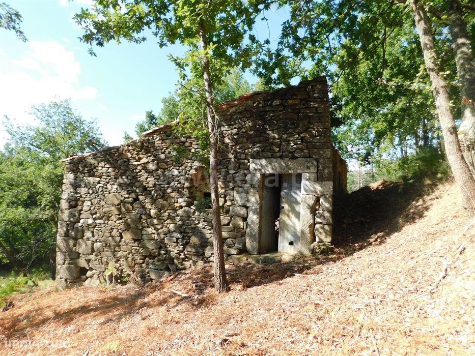 Terreno com ruina / Seia, Seia