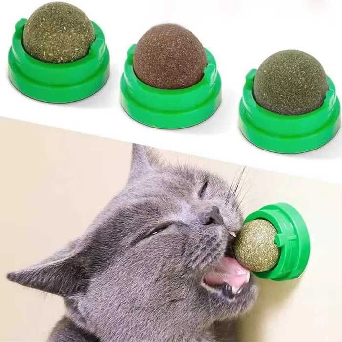 Bola de Catnip Natural para Gatos Brinquedo para Colar na Parede Auxilia na Digestão NOVO