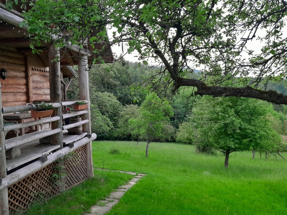 Wakacje w górach