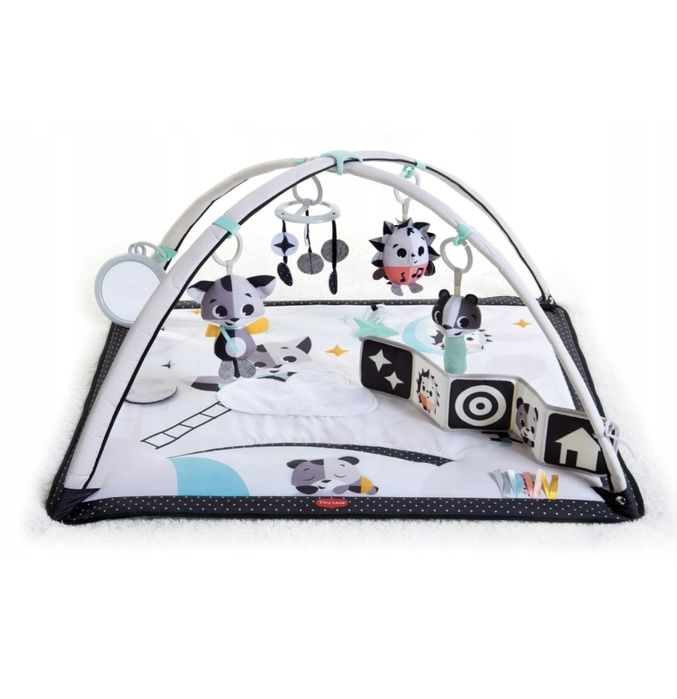 Tiny Love, Mata Edukacyjna, Magiczna Kraina