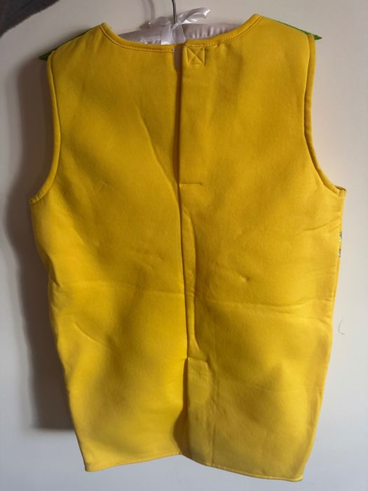 Fato carnaval criança 3-6 anos Ananás