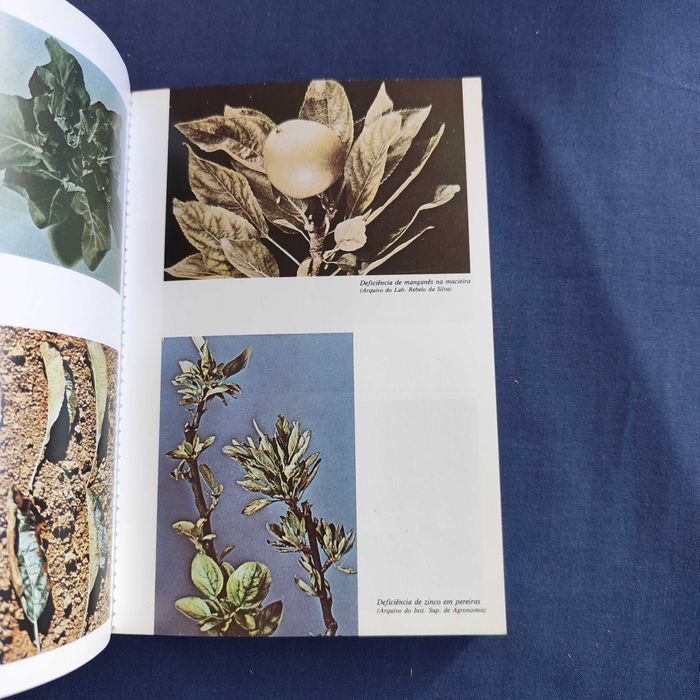 Fertilization - Fundamentals of the Use of Fertilizers and Correctives64585754116993123