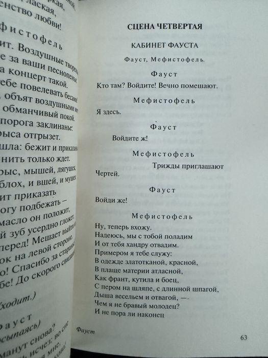 Фауст. Гёте. Перевод Н. Холодковского.