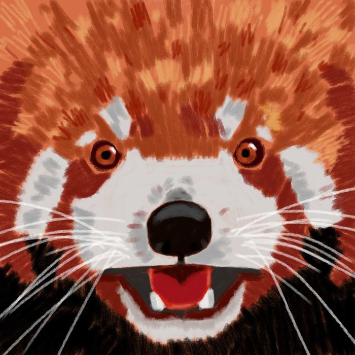 Ilustração profissional - Cientifica, infantil e criativa