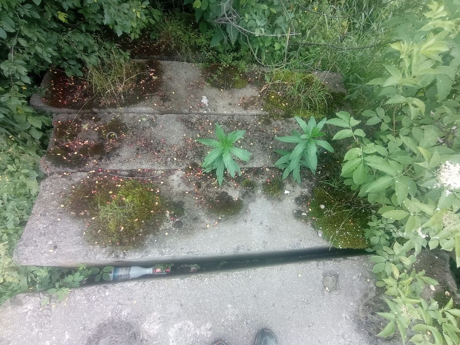 Продам фундаментні блоки