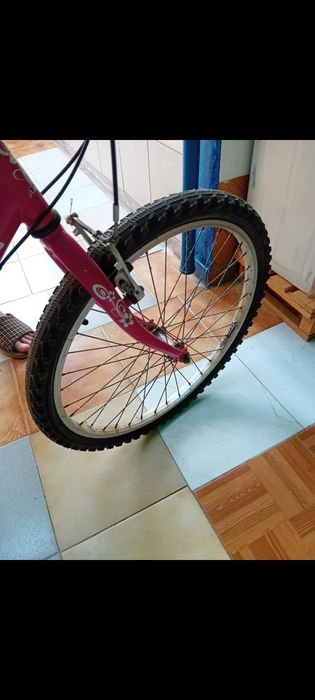 Bicicleta feminina