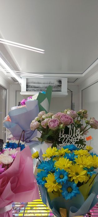 Холодильні вітрини для квітів
