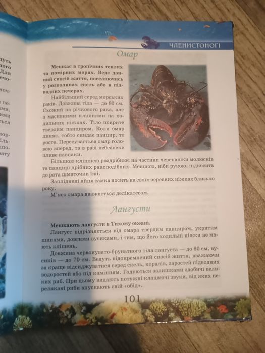 Книга "Цікаві дивовижні"