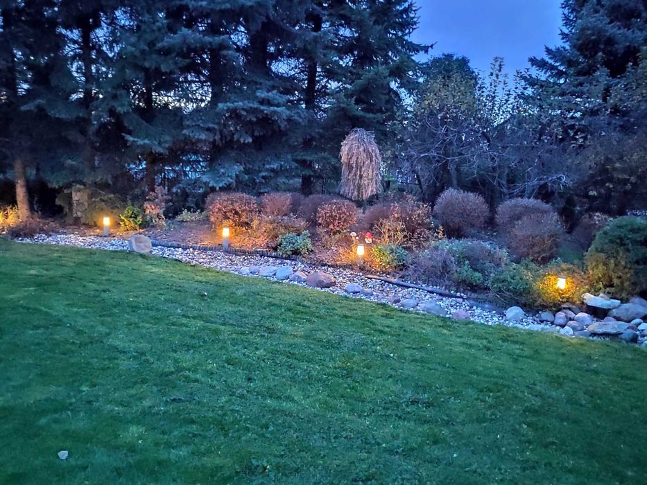 Usługi ogrodnicze | ogrodnik | zakładanie ogrodów | trawniki