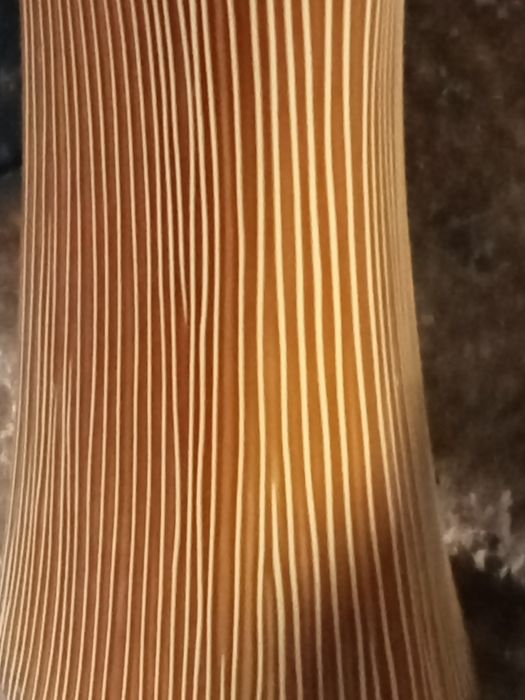 Vendo espelho de casa de banho, um lavatório, e uma sanita.