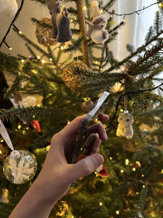 iphone 12 pro max 256